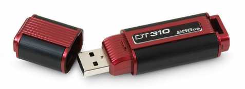 USB Flash Drive DT 310 - 256GB